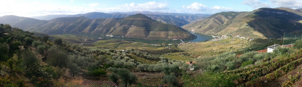 View of the River Douro