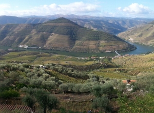 Catching my breath in the Douro