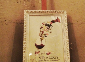 Vinalogy – wine basics with a twist: Book Review